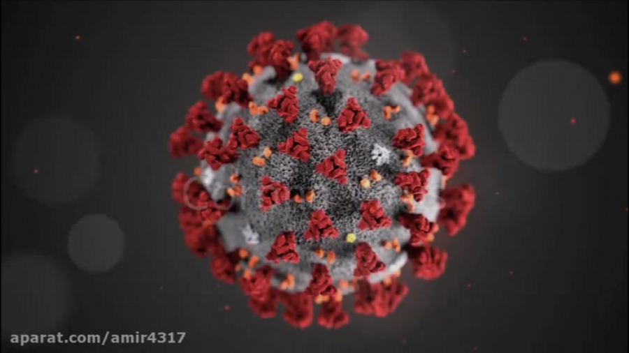 اولین تصویر شببیه سازی شده ویر...