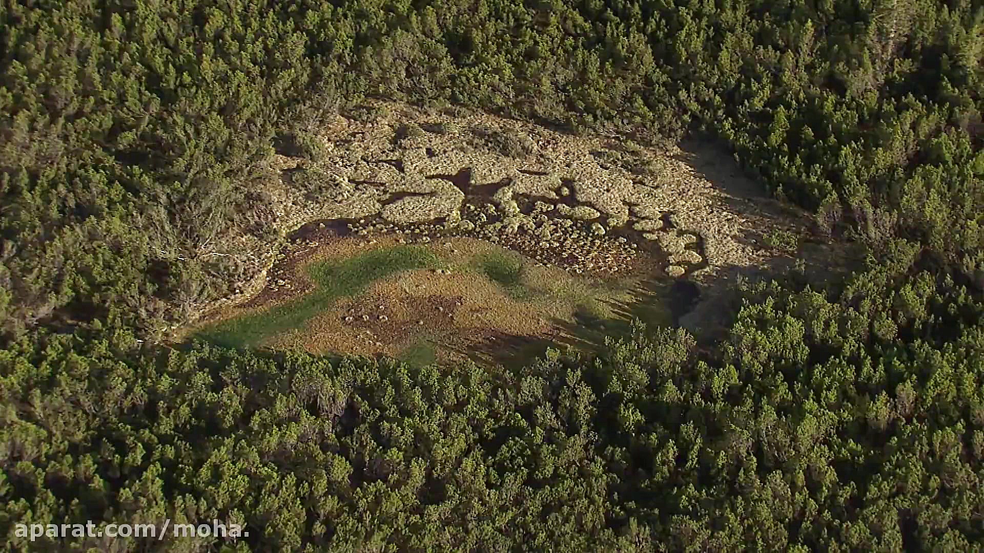 جادوی مور 1  Magie der Moore