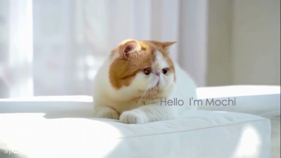 با این روش بدون دغدغه و به راح...