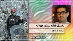 تحلیل فیلم شنای پروانه