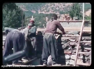 تیزر فیلم سینمایی درخت گردو با...