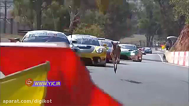 مختل شدن مسابقات اتومبیلرانی ب...