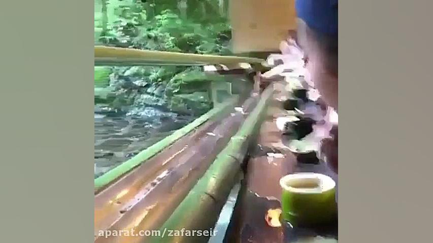 حتما ببینید این رستوران رو