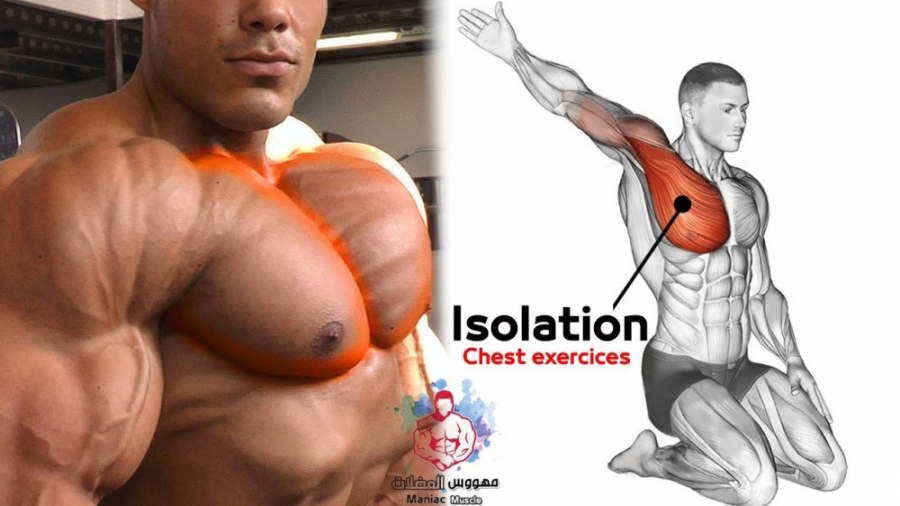 تمرین بدنسازی مخصوص عضلات سینه