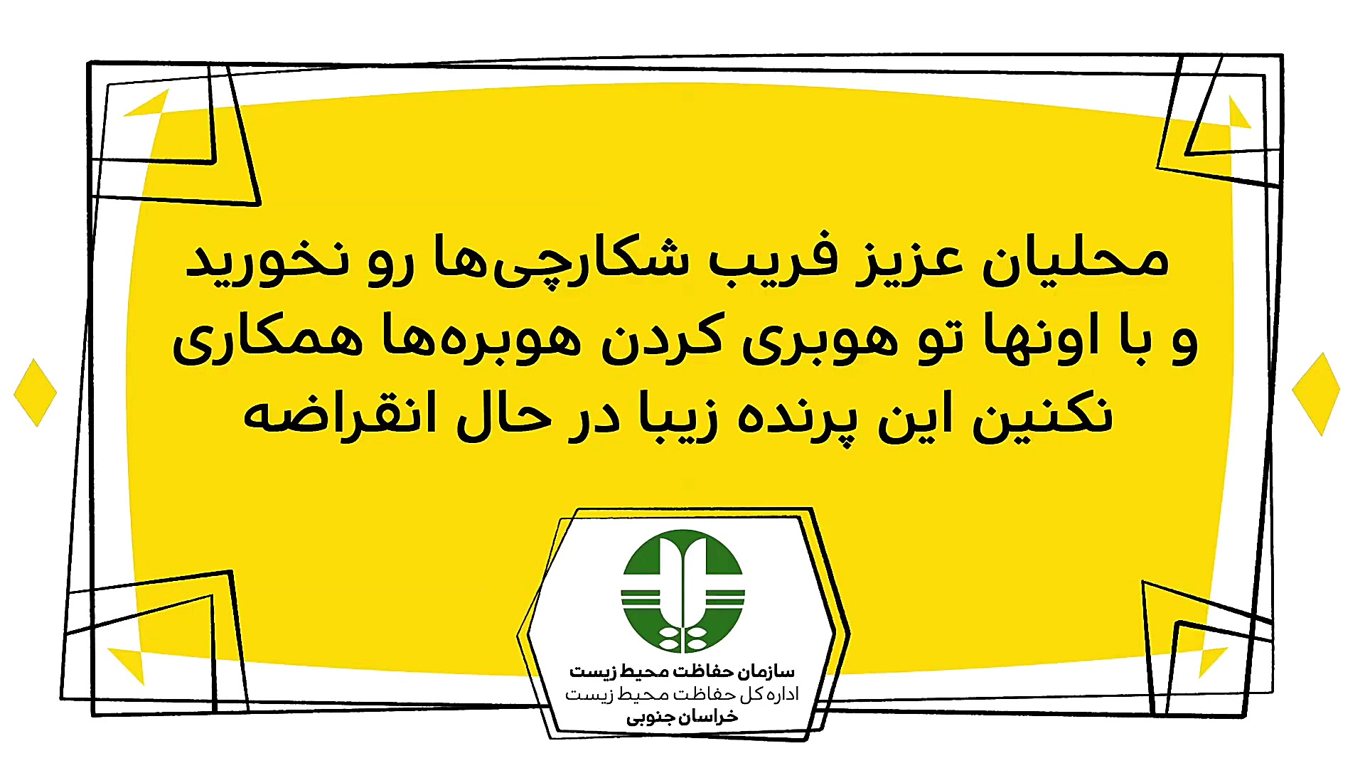 دیرین دیرین  قاچاق هوبره