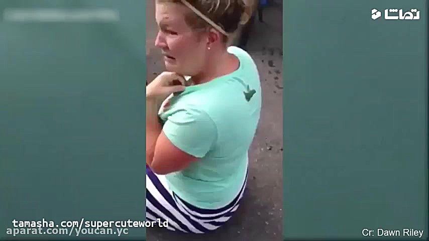 کلیپ های خنده دار و طنز