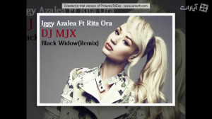 DJ MJX Black Widow