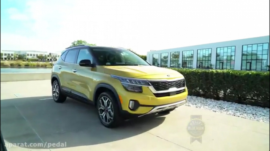 بررسی کیا سلتوس