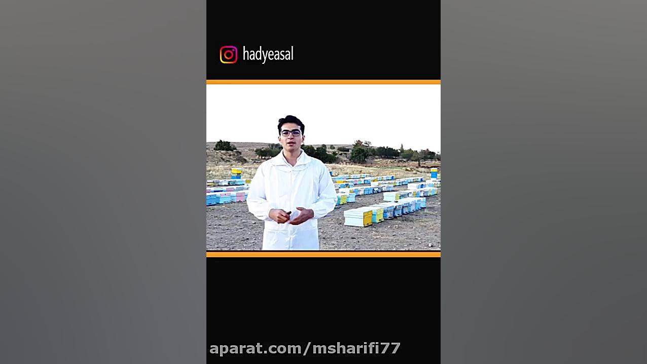 تاریخ انقضا عسل طبیعی چقدره؟