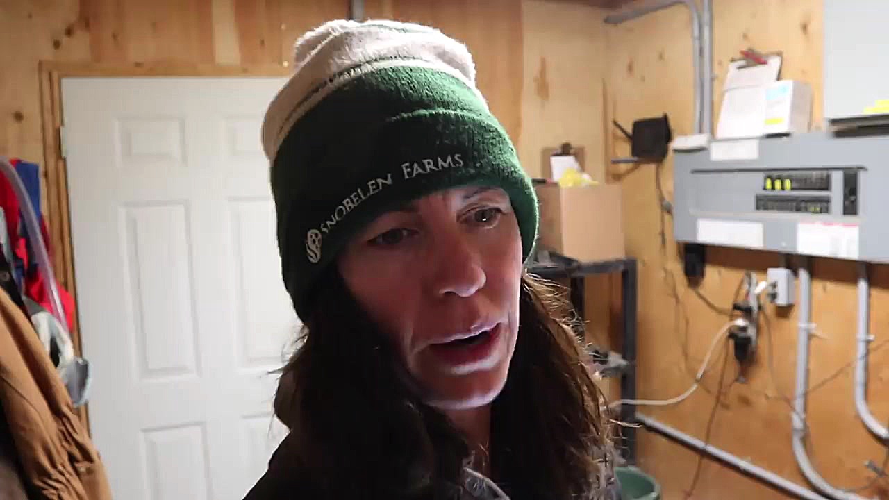 آموزش پرورش دام وطیور