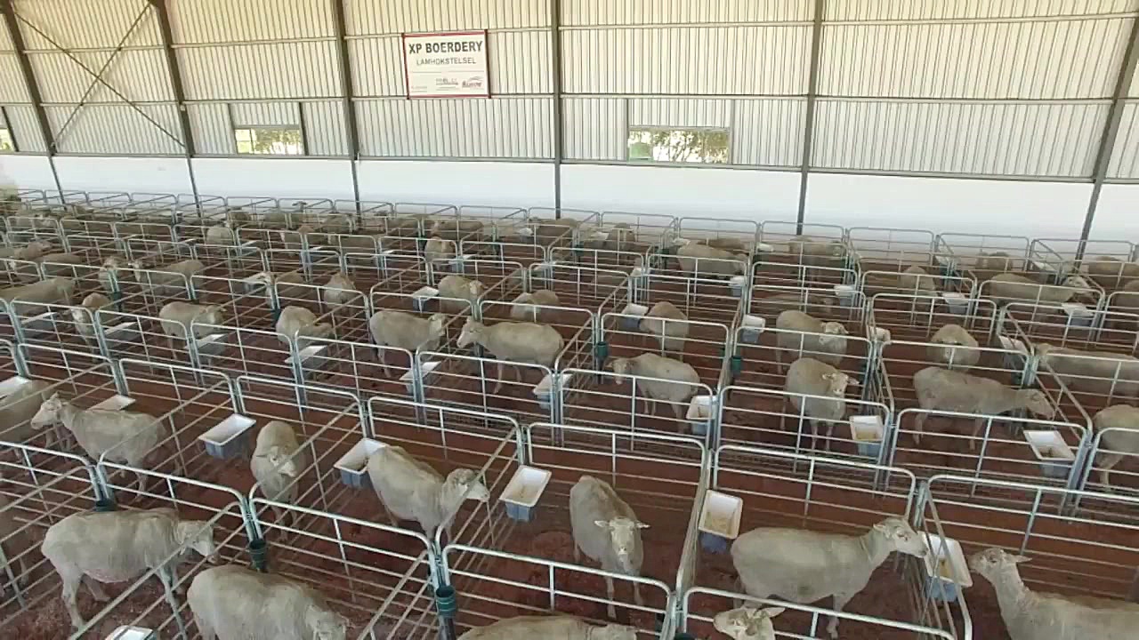 آموزش پرورش دام وطیور