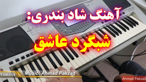 اجرای آهنگ بندری شبگرد عاشق |...