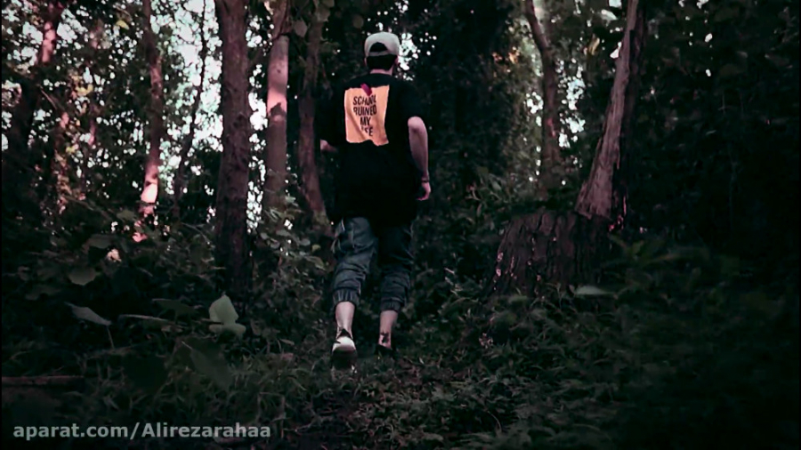 موزیک ویدیو جاده بی فلش  علیرض...