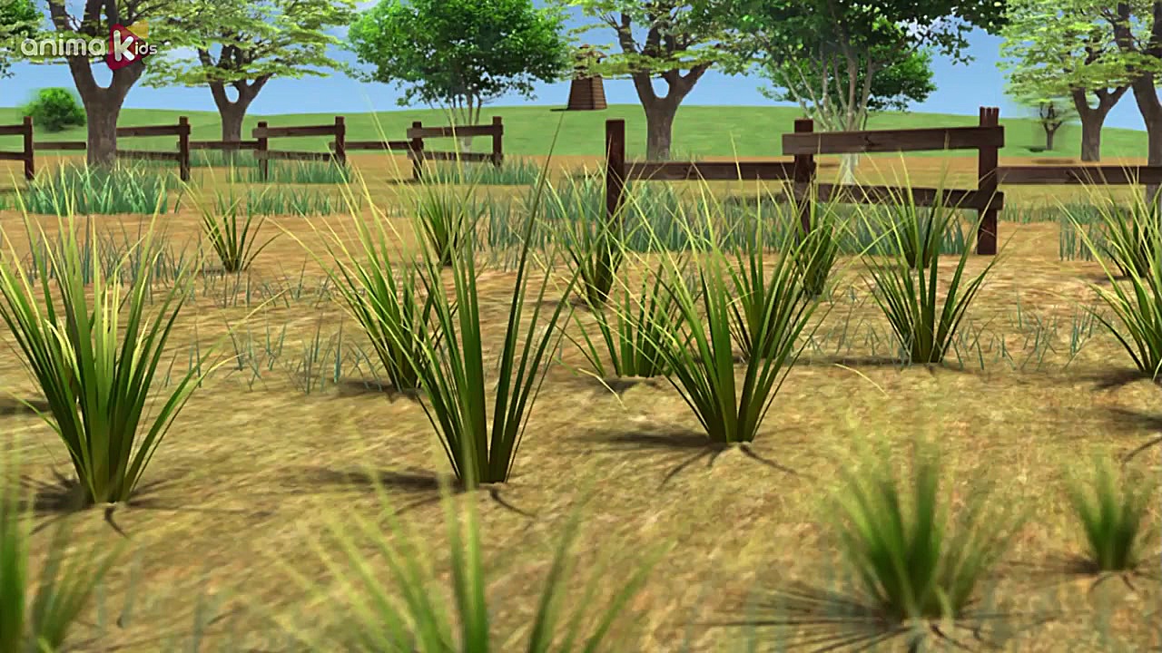 كارتون جذاب برنارد