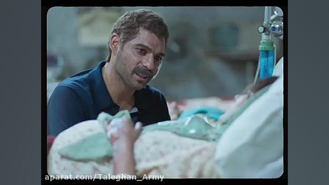 درخت گردو (پیمان معادی)