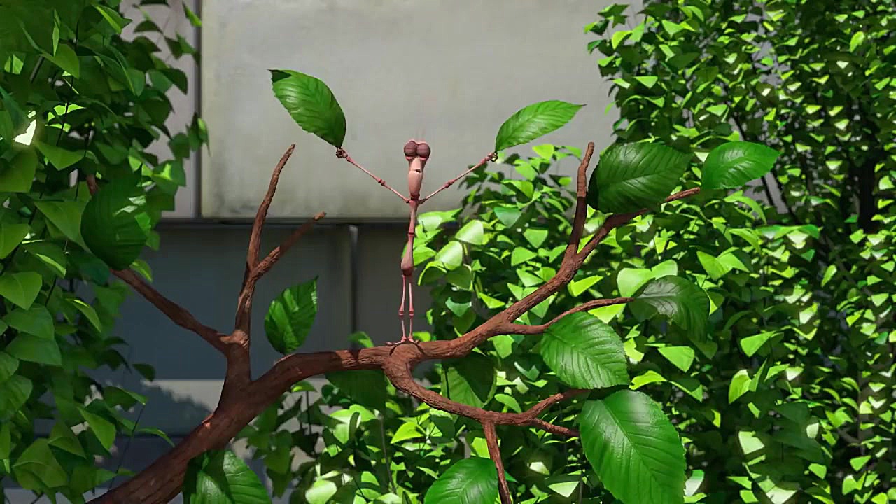 کارتون جذاب لاروا