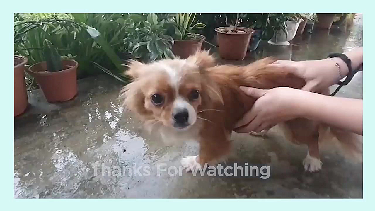 آموزش نقاشی به کودکان  لوازم پ...