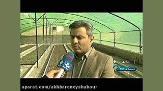 راه اندازی گلخانه های کوچک مقی...