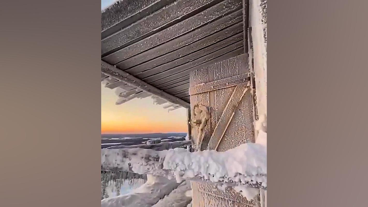 کلیپ سلام صبح بخیر