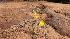 Samsung Galaxy Note 9 Unboxing...