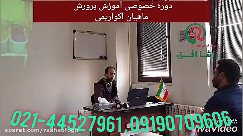 آموزش تخصصی پرورش و تکثیر ماهی...