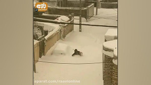 بارش سنگین برف در خلخال موجب د...