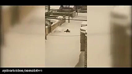 دفن شدن خودرو ها زیر برف  خلخا...