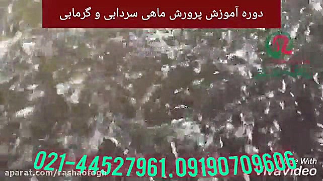 آموزش تخصصی پرورش و تکثیر ماهی...