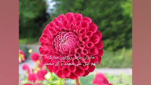 کلیپ تبریک روز مادر تولد حضرت...