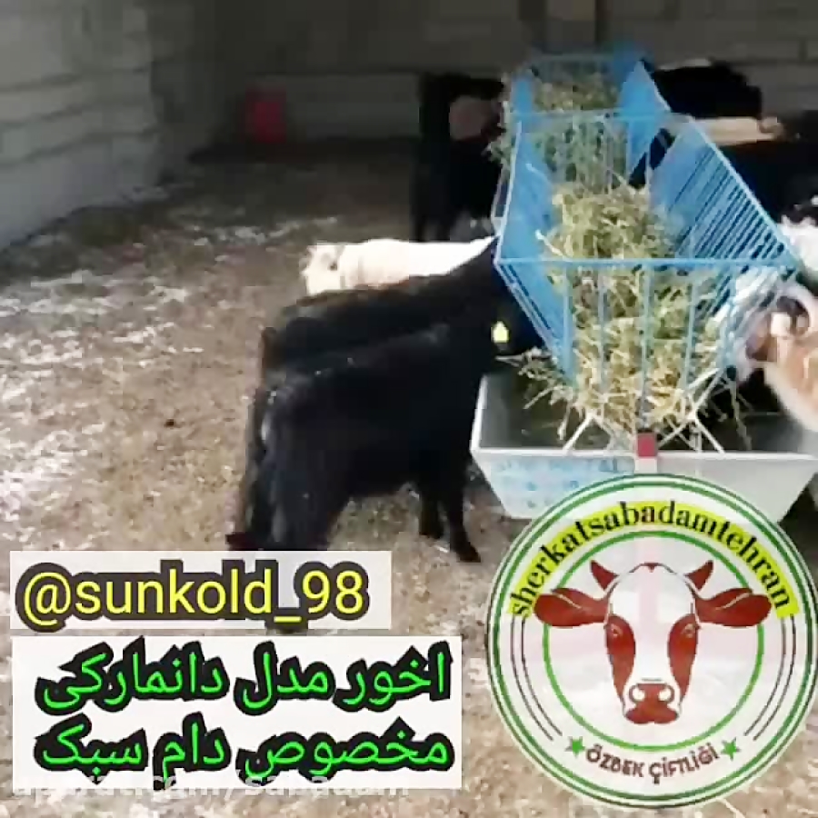دامداری صنعتی اخور مدل دانمارکی