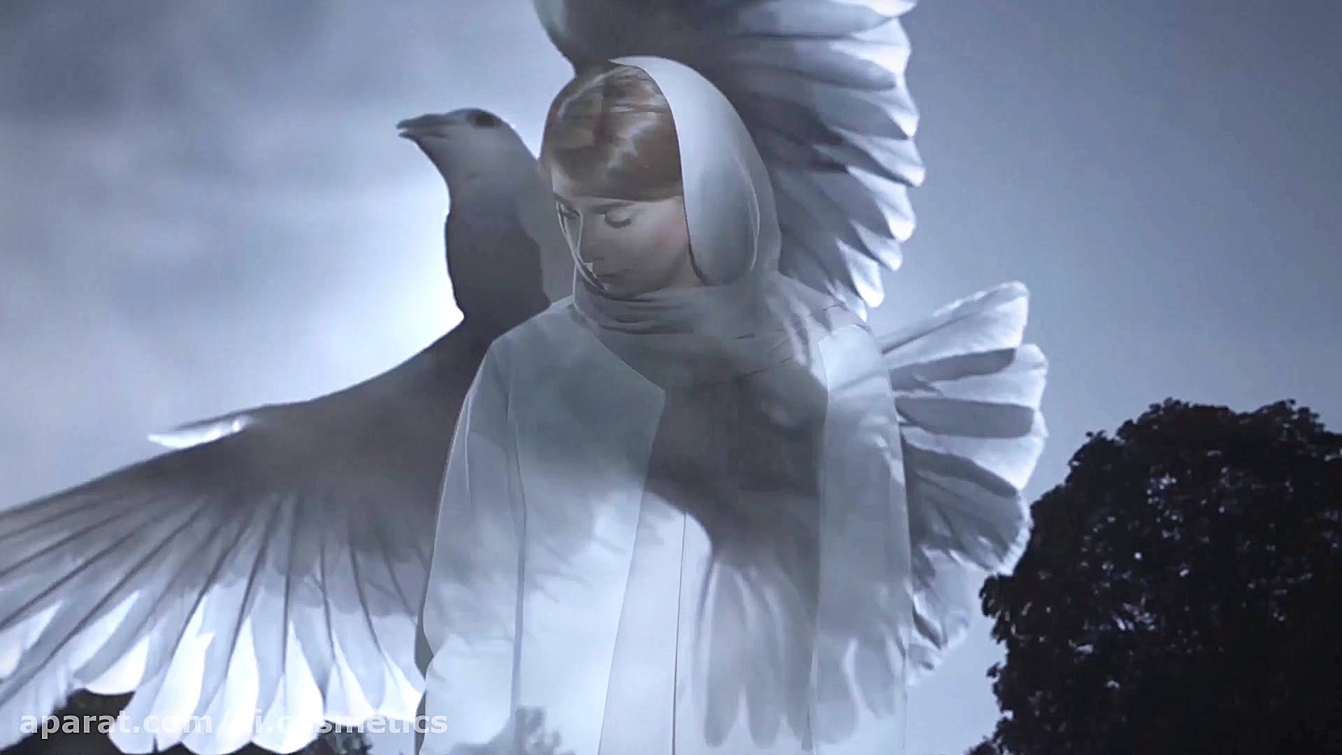 زی موی، محصولات مراقبت از مو