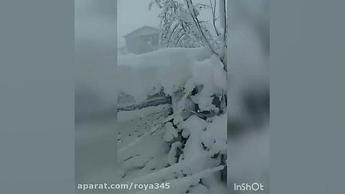 بارش فوق سنگین برف