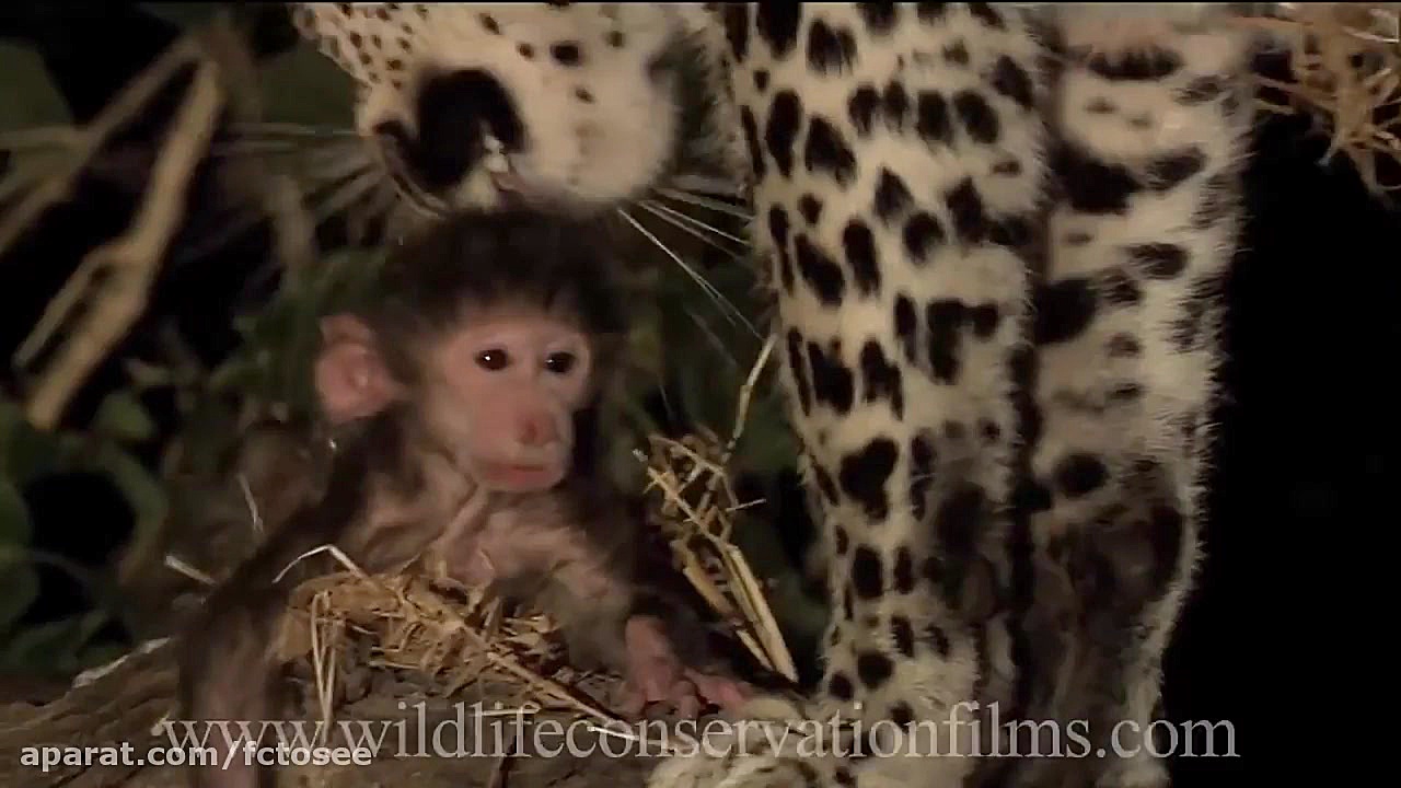 مناظر و بازتاب های شگفت انگیز...