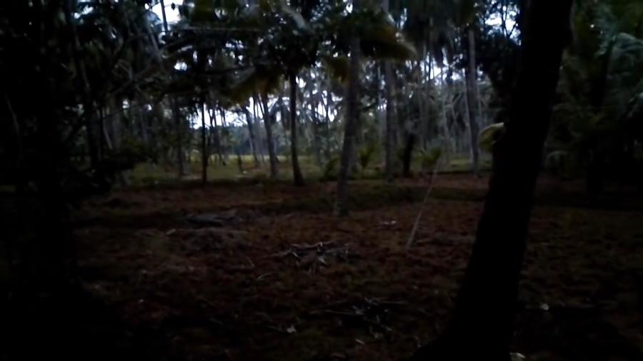 Scary Videos | Ghost Caught On...