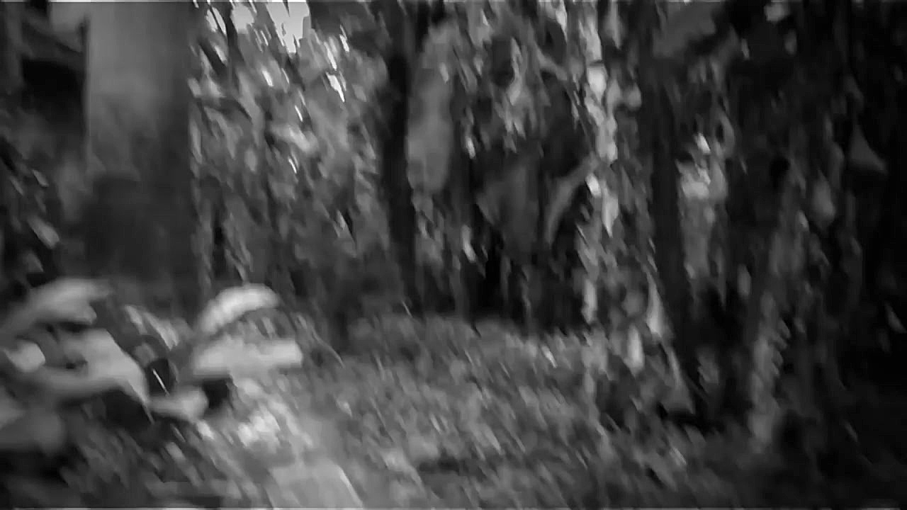 Super Natural Ghost Caught On...