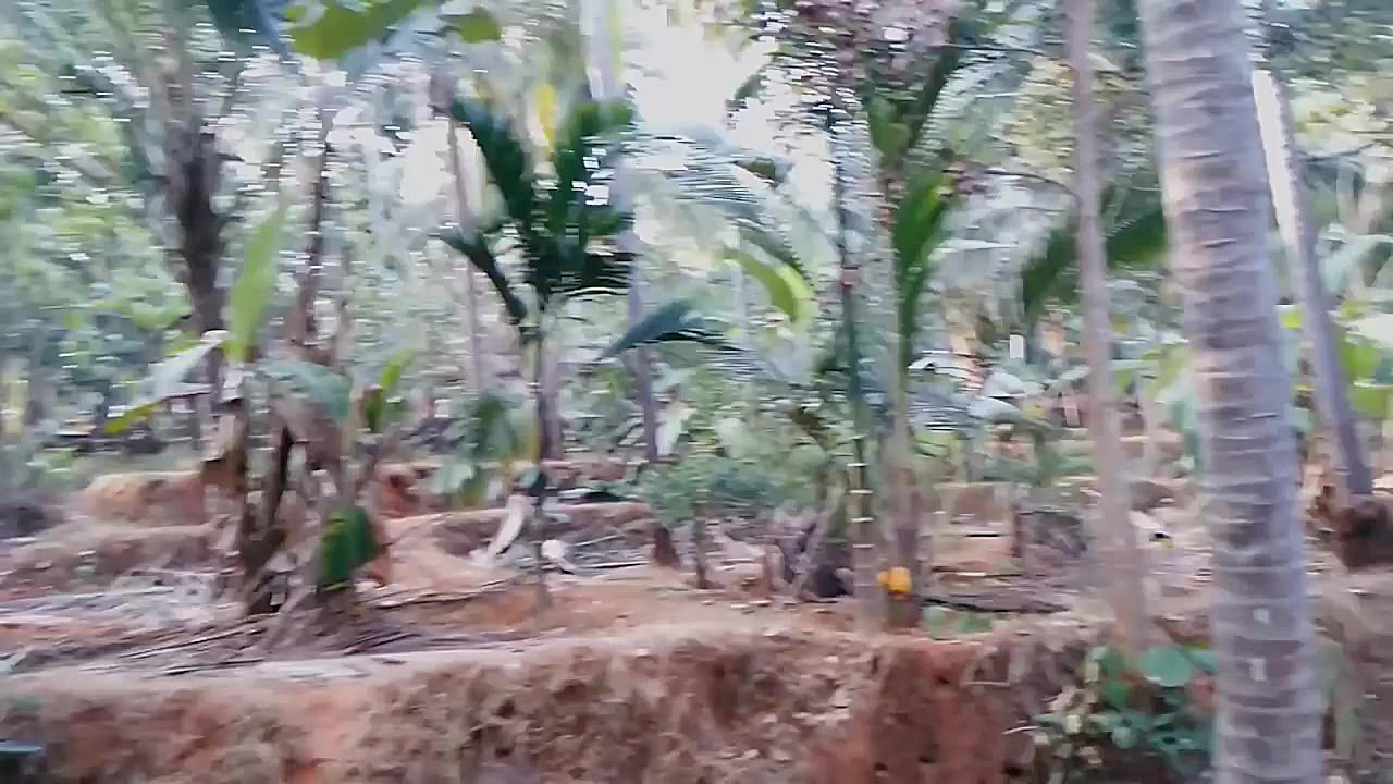 Scary Ghost Sightings | Ghostl...