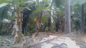 Scary Videos | Black Ghost Sha...