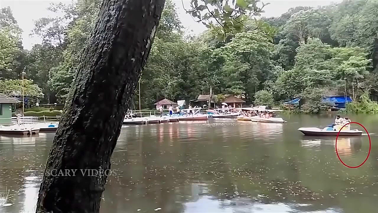 Ever felt a ghostly presence?...