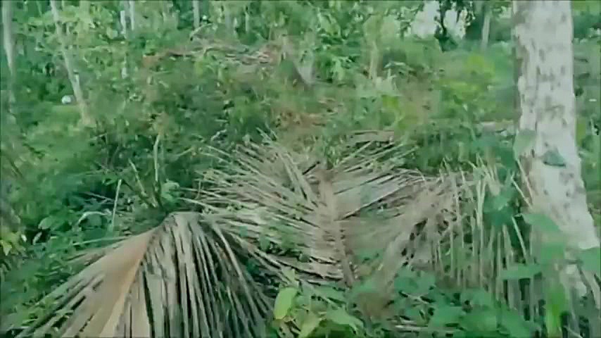 Man& 039;s spirit & 039;caught...