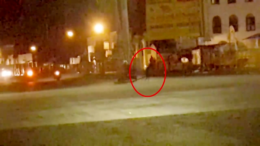 Mysterious Creature Caught On...