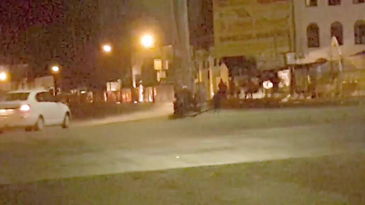 Mysterious Creature Caught On...