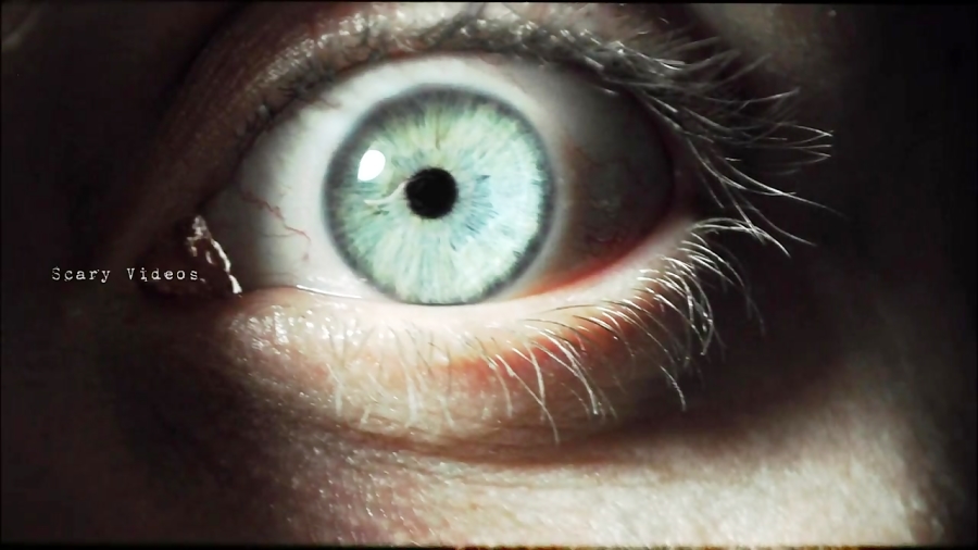 Elf on the Shelf | Real Life I...