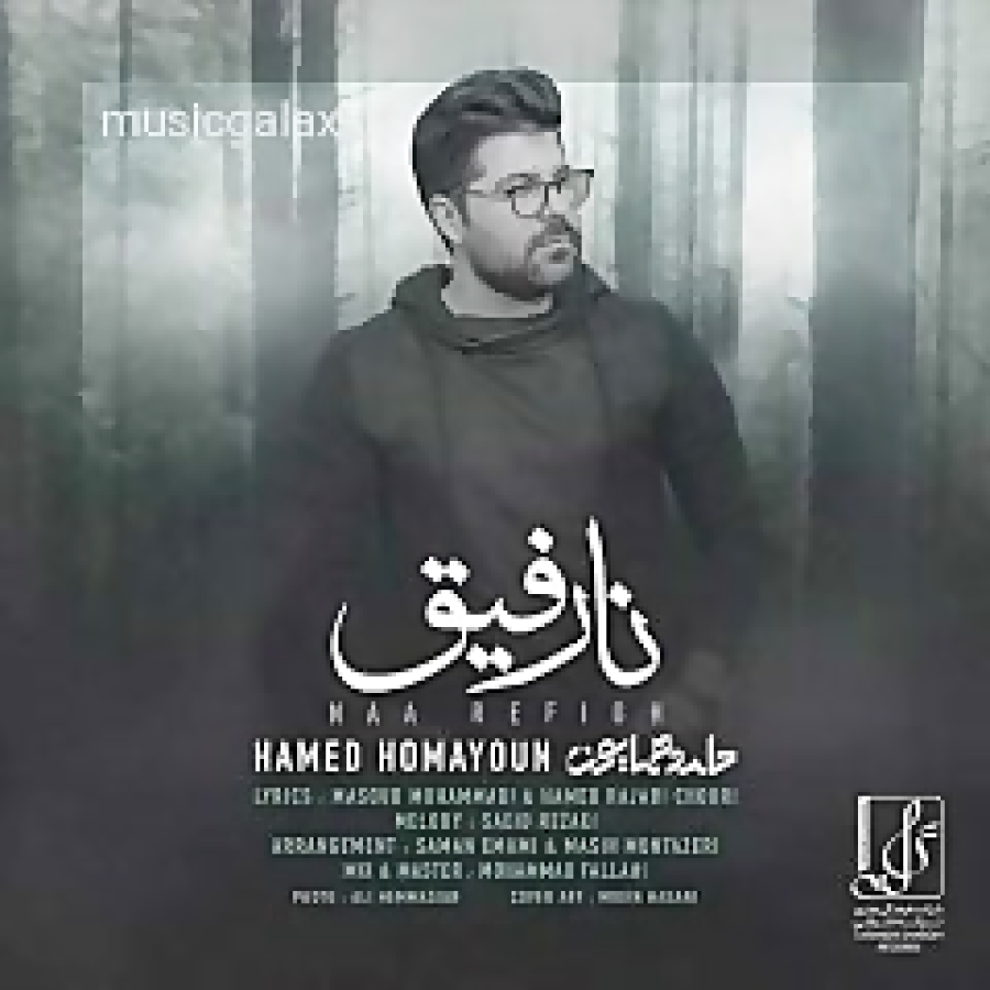 دانلود آهنگ حامد همایون نارفیق