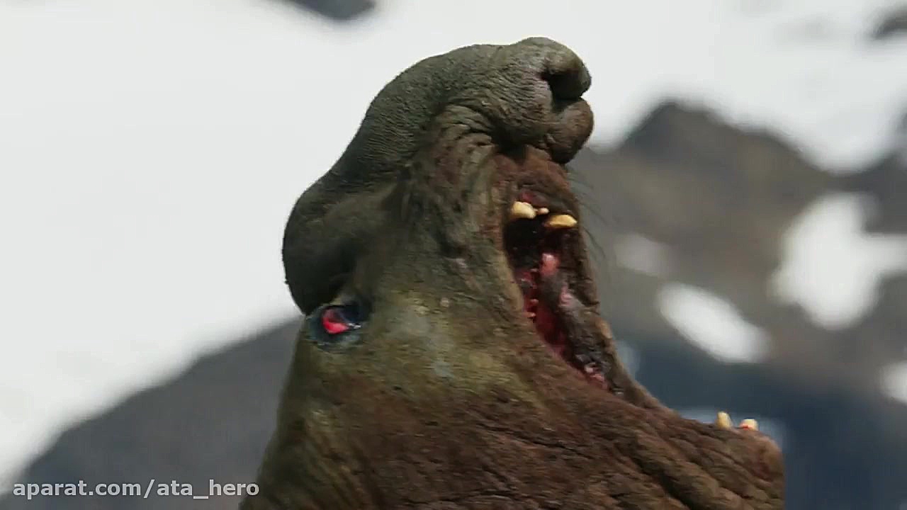 مستند هفت دنیا یک سیاره قسمت 1