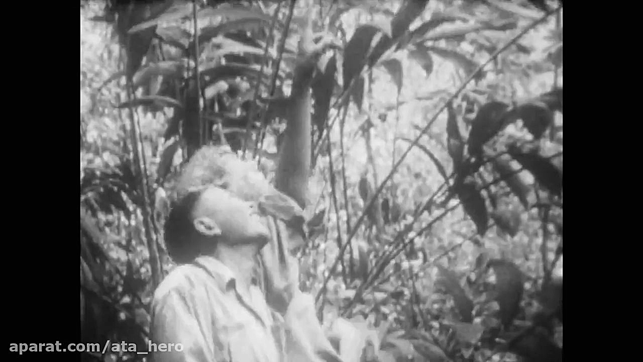 مستند هفت دنیا یک سیاره قسمت 2