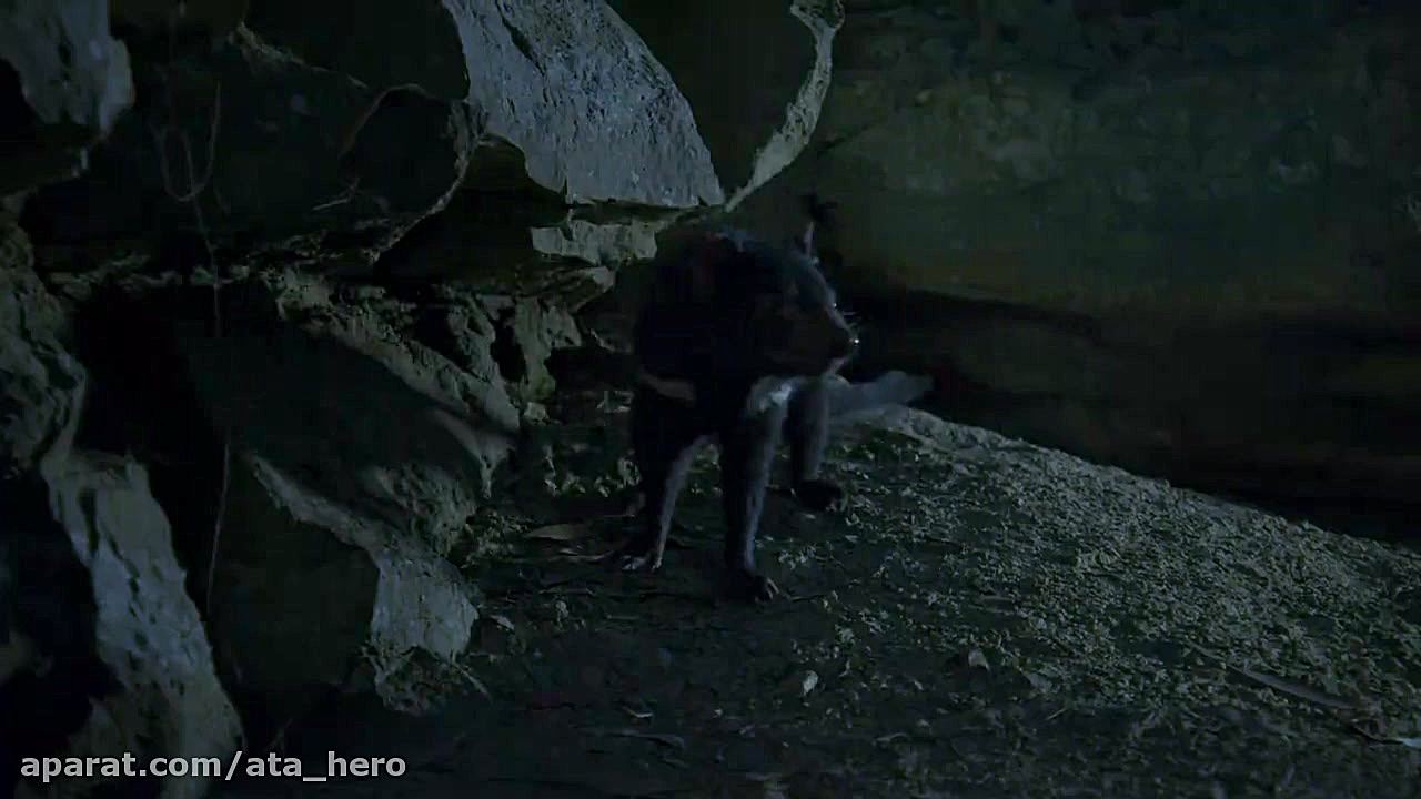 مستند هفت دنیا یک سیاره قسمت 4