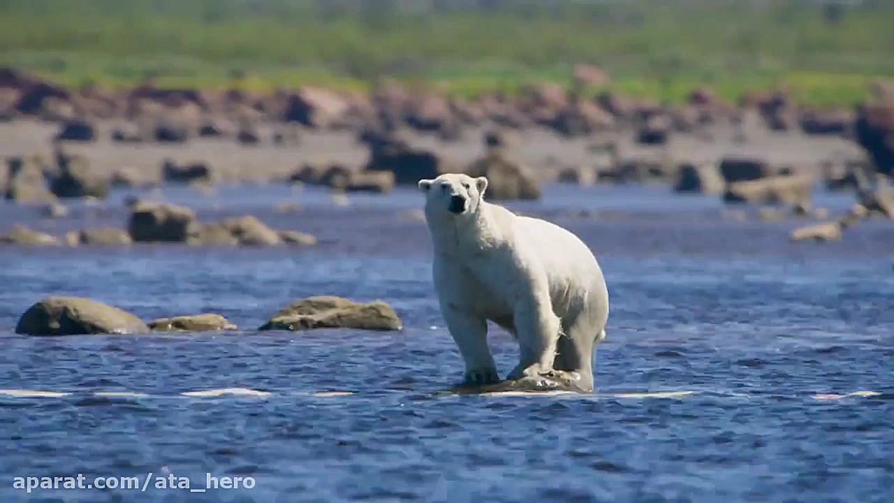 مستند هفت دنیا یک سیاره قسمت 6