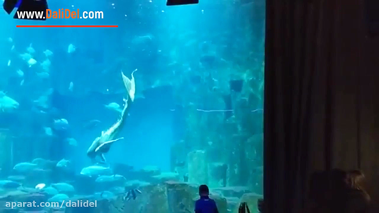 پری دریایی زنده و واقعی در آکو...