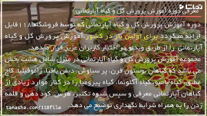 پرورش گیاهان آپارتمانی