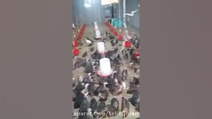 آموزش پرورش بوقلمون